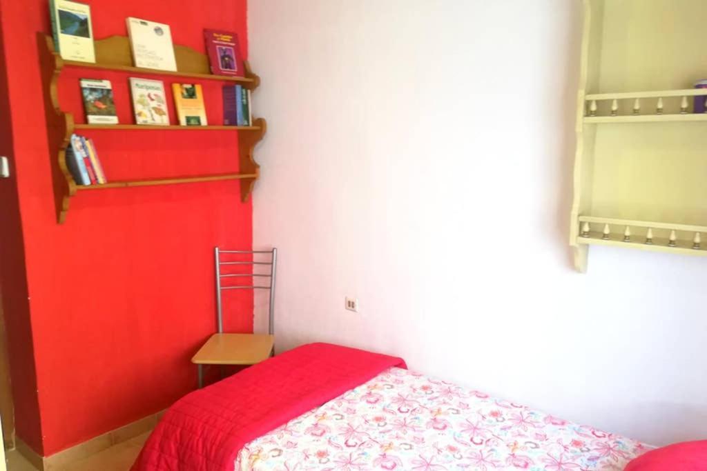 Bonito Apartamento Centro Onil Luaran gambar