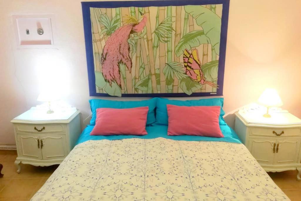 Bonito Apartamento Centro Onil Luaran gambar