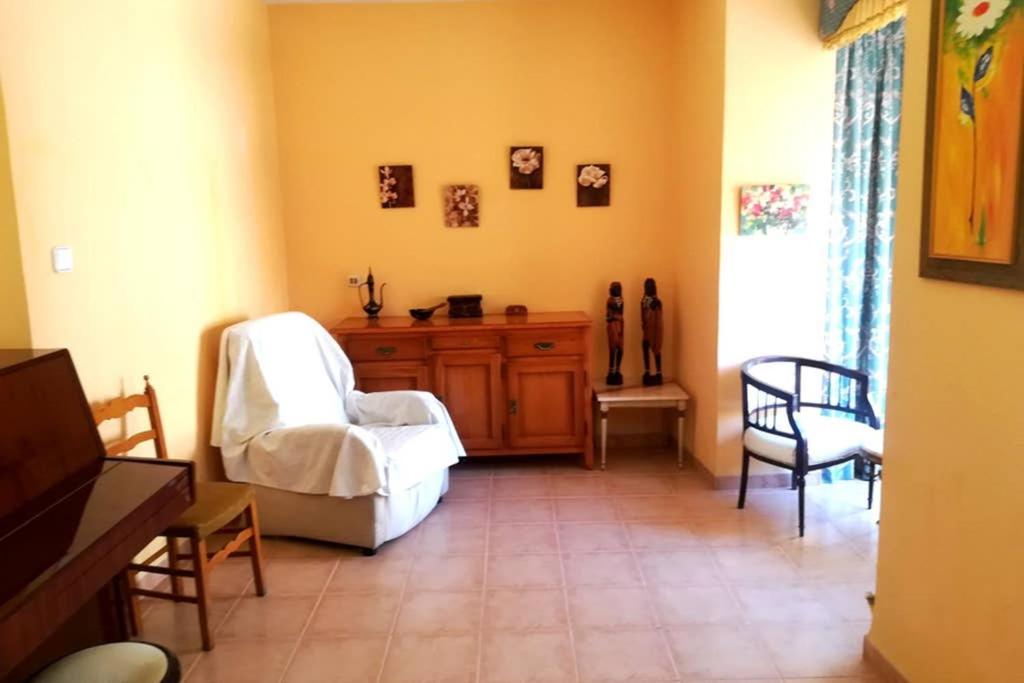 Bonito Apartamento Centro Onil Luaran gambar